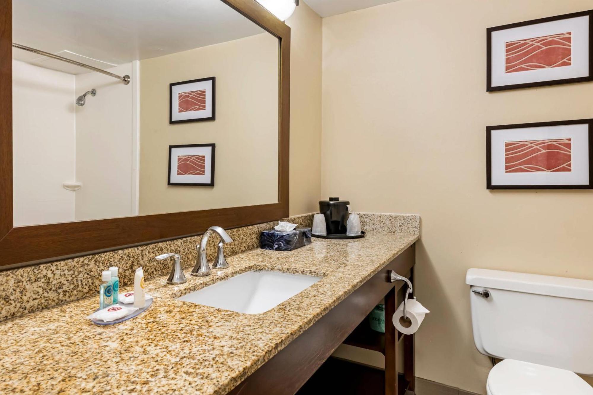 Comfort Inn Msp Airport - Mall Of America Bloomington Eksteriør billede