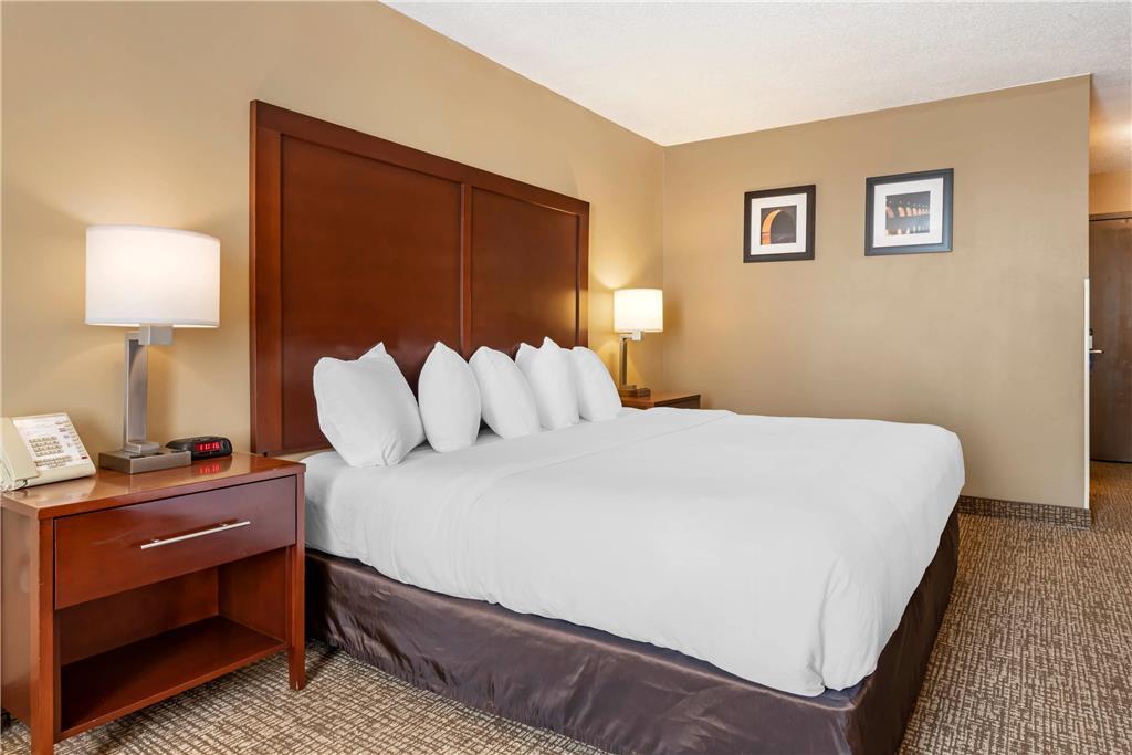 Comfort Inn Msp Airport - Mall Of America Bloomington Værelse billede