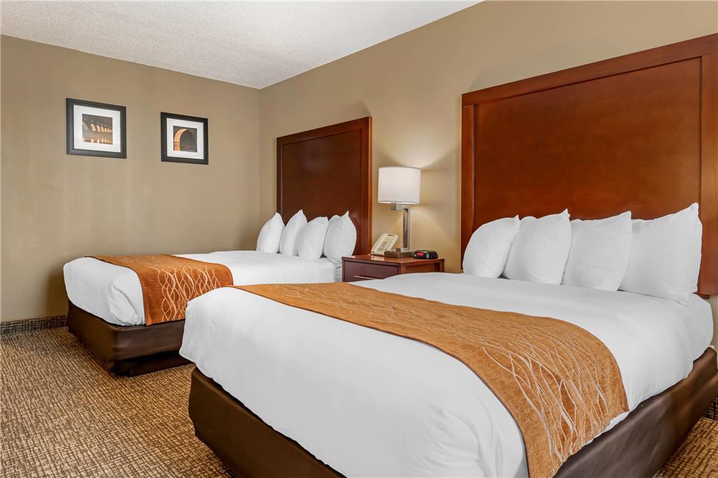 Comfort Inn Msp Airport - Mall Of America Bloomington Værelse billede